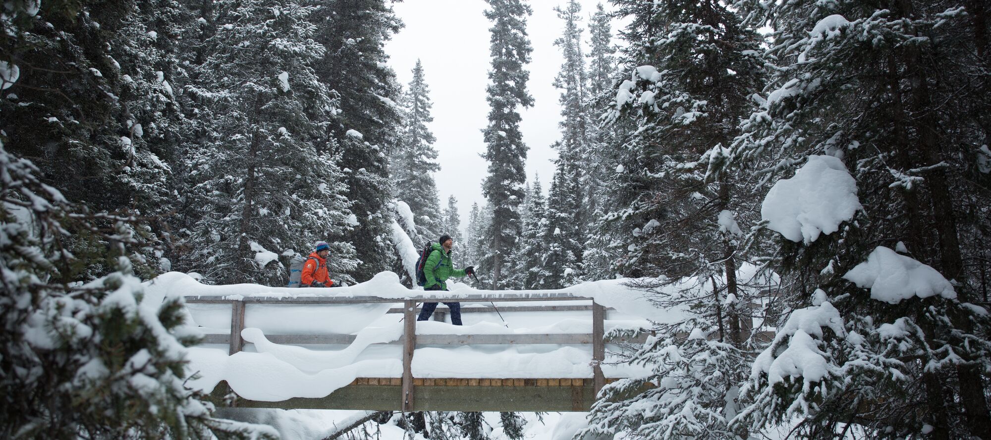 2 person snowshoeing across a bridge in the forest. 