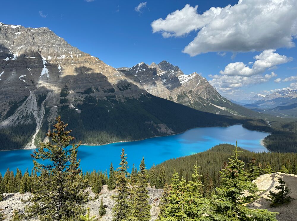 Peyto Lake on a beautiful blue bird day on the Icefield Parkway in Banff National Park.