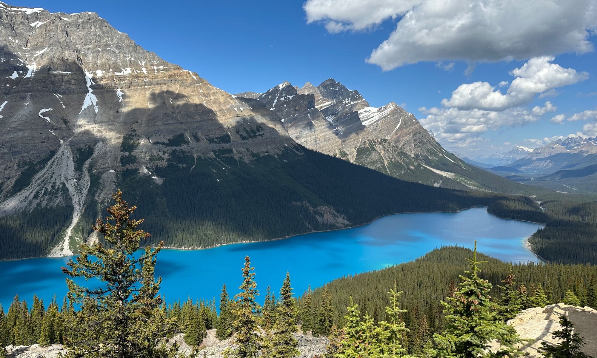 Peyto Lake on a beautiful blue bird day on the Icefield Parkway in Banff National Park.