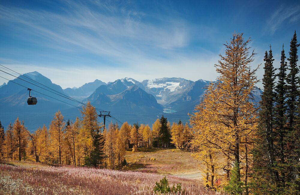 Larch season at the Lake Louise Ski Resort in Banff National Park.