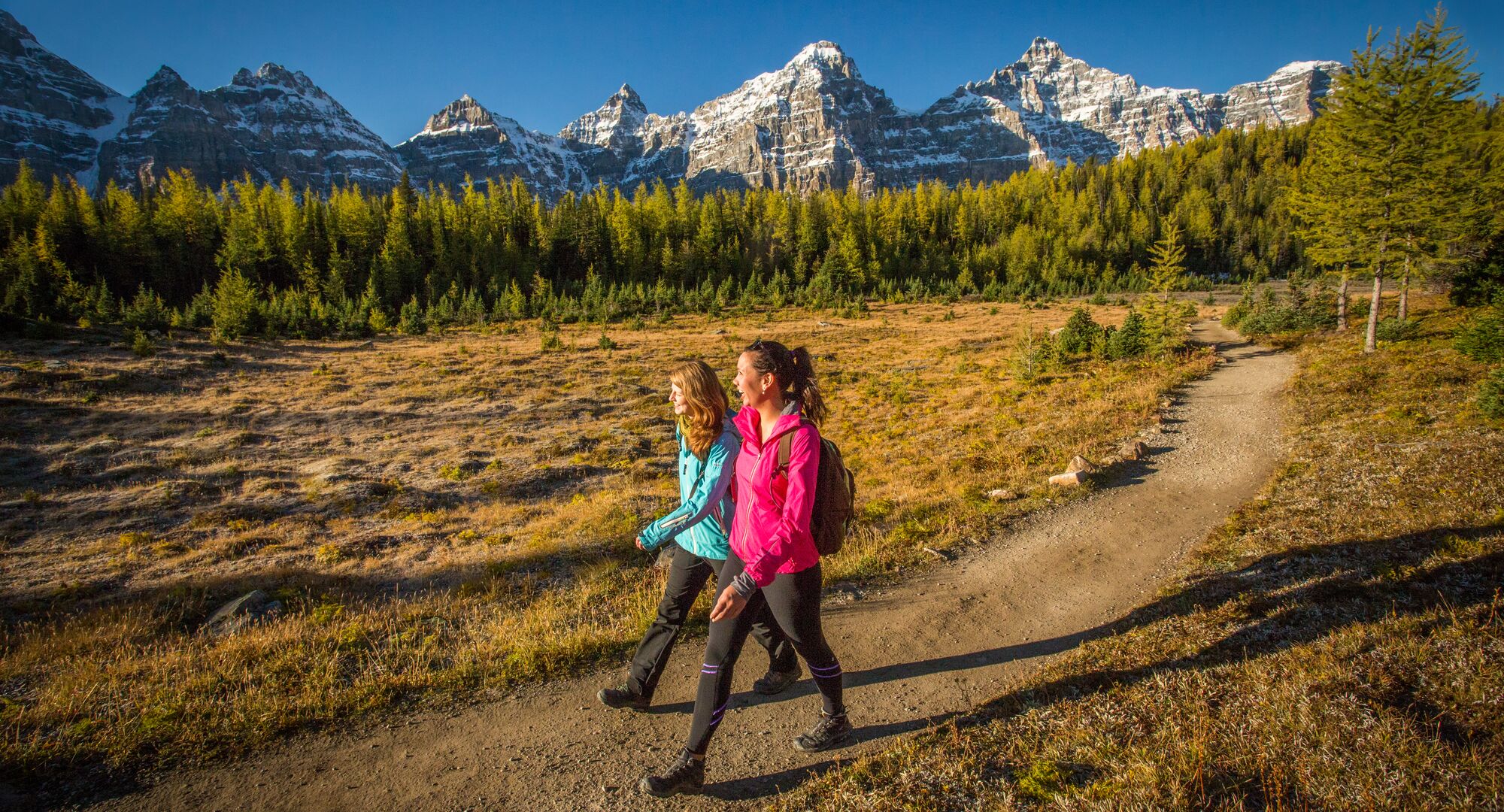 Larch Valley Trail in Fall