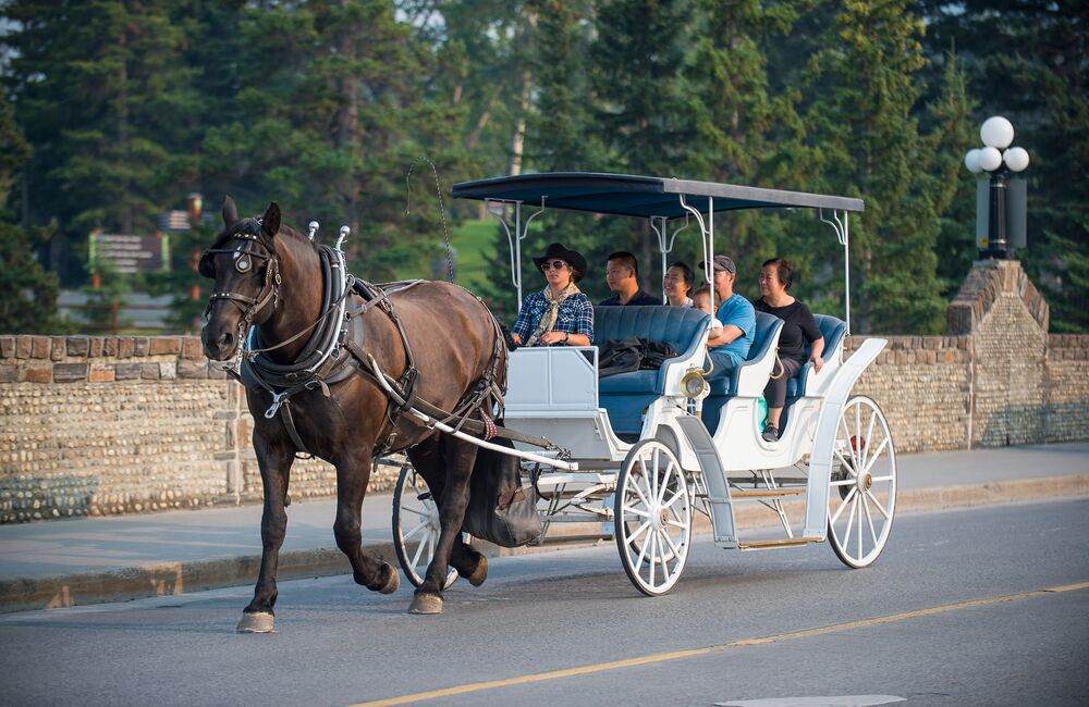 Group of people enjoying a horse drawn carriage ride down Banff Avenue with Banff Trail Riders
