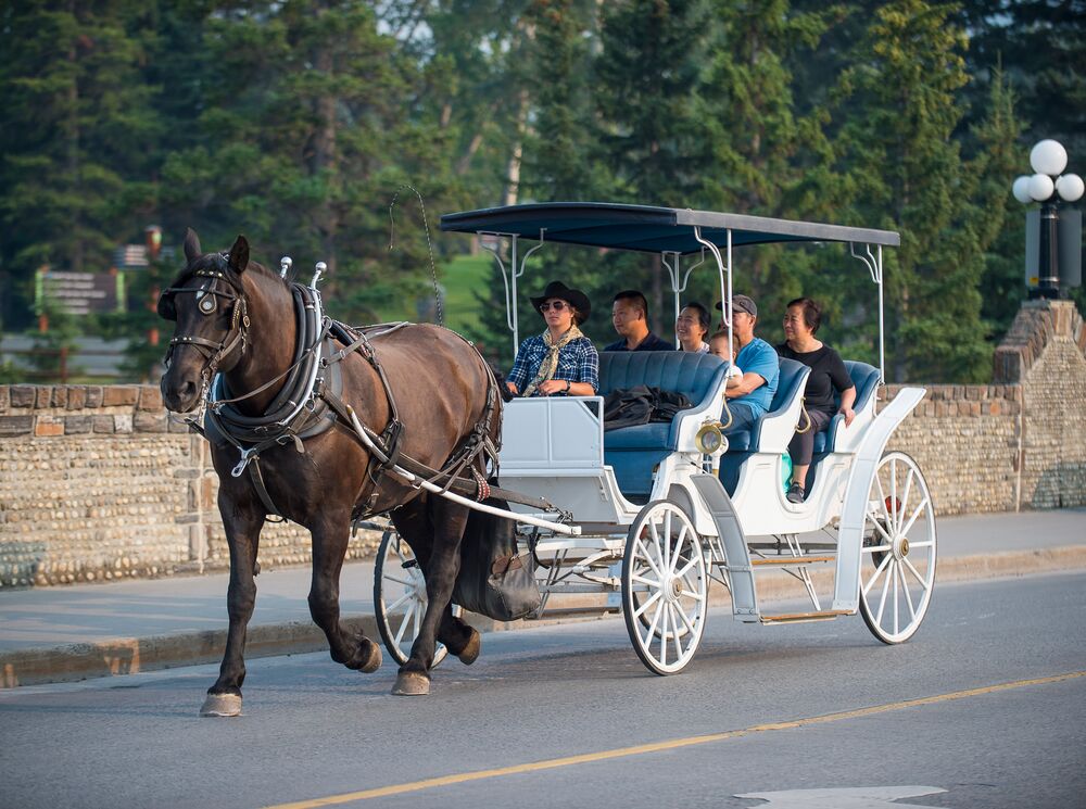 Group of people enjoying a horse drawn carriage ride down Banff Avenue with Banff Trail Riders