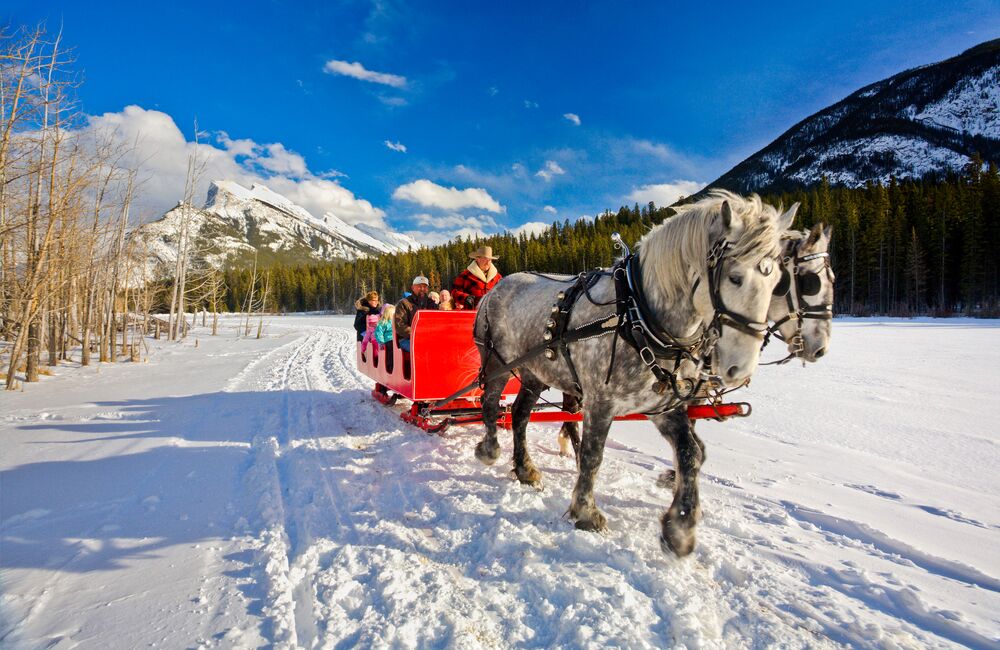 Sleigh Ride in Banff