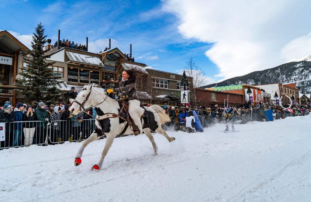 Skijoring