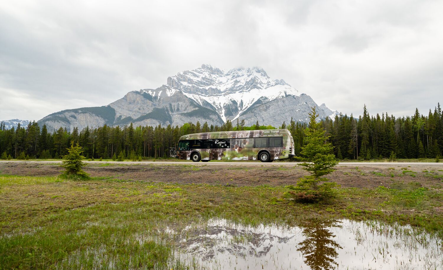 A Roam Transit bus drives on the Lake Minnewanka Loop in Banff National Park with Cascade Mountain in the background and the bus's reflection in a puddle in the grass.