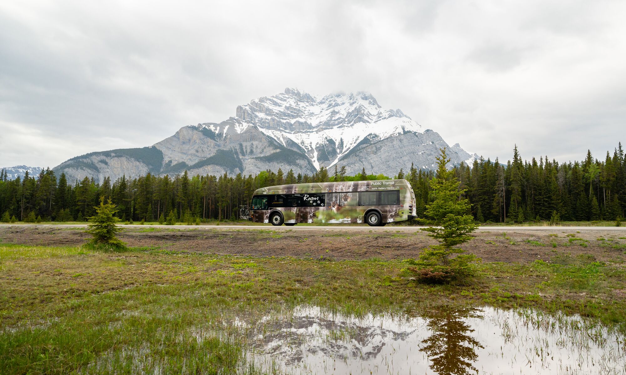 A Roam Transit bus drives on the Lake Minnewanka Loop in Banff National Park with Cascade Mountain in the background and the bus's reflection in a puddle in the grass.
