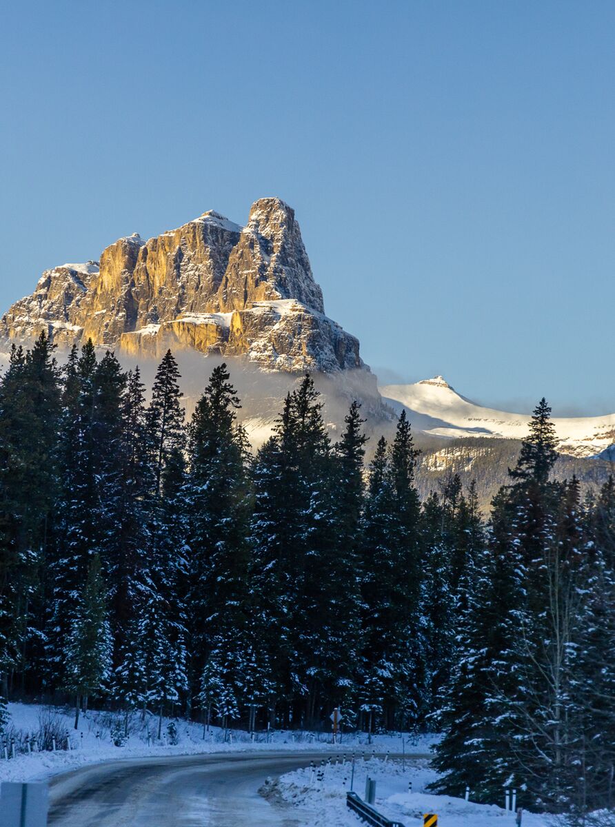 Castle Mountain rises above snowy trees on the Bow Valley Parkway in Banff National Park.