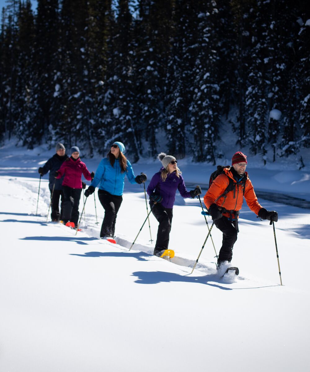 Group of people on a snowshoe tour on a sunny winters day in Banff National Park