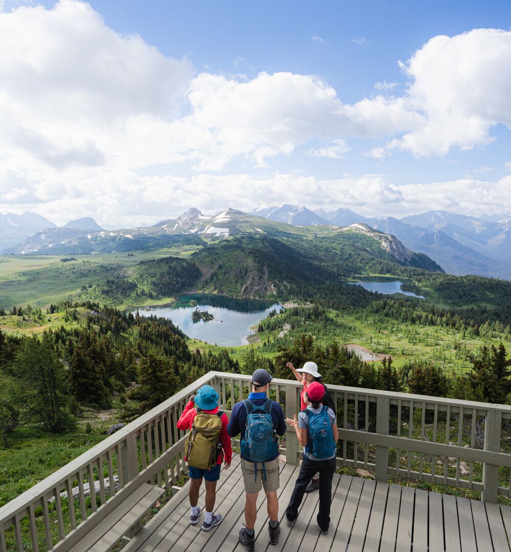 Group at the Standish Viewing Deck at Sunshine Meadows in the summer