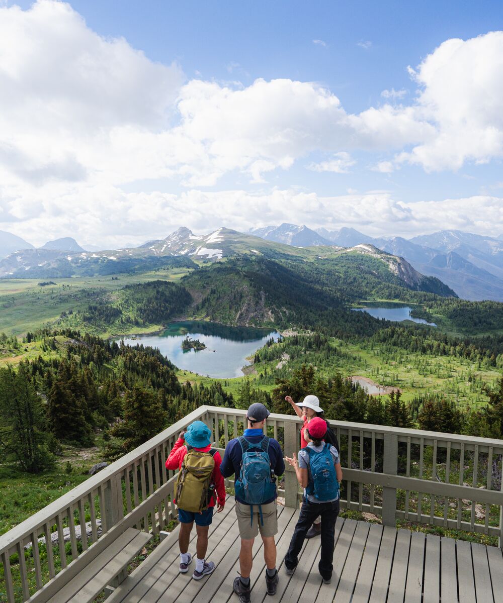 A group of people listening to a guide at Sunshine Meadows in Banff National Park.