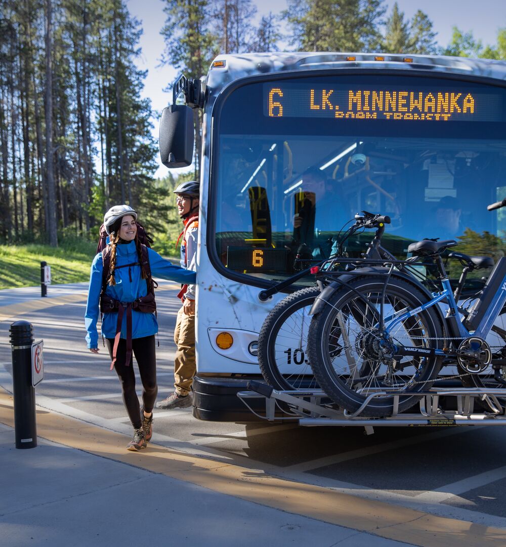 Roam Public Transit