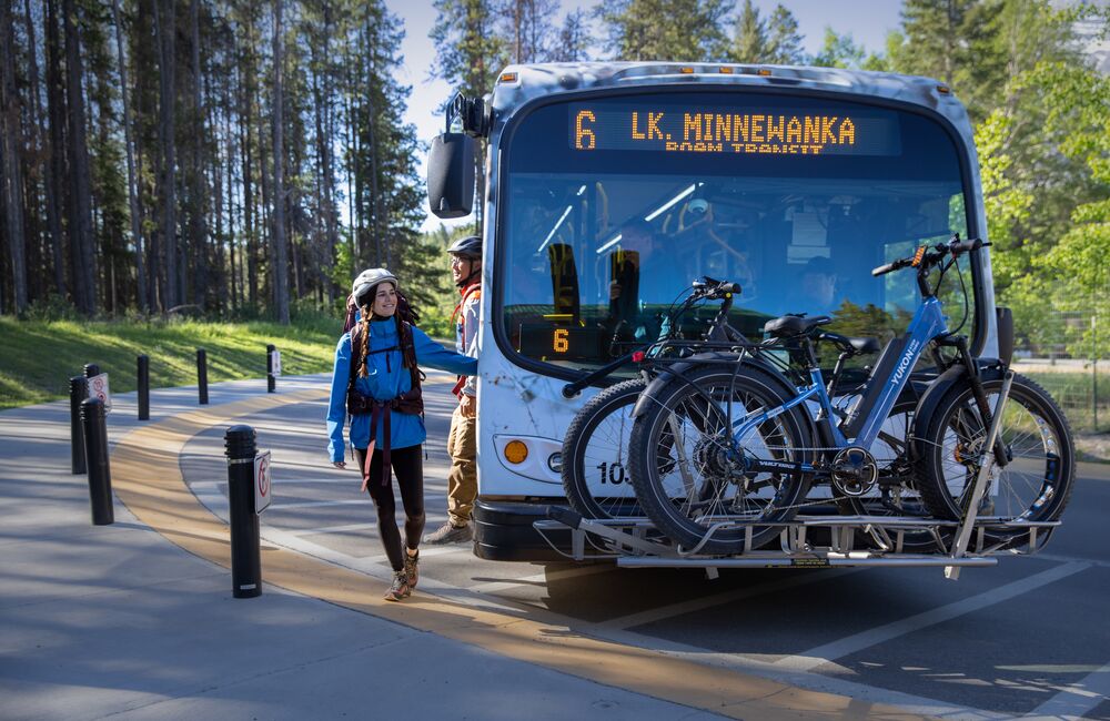 Roam Public Transit