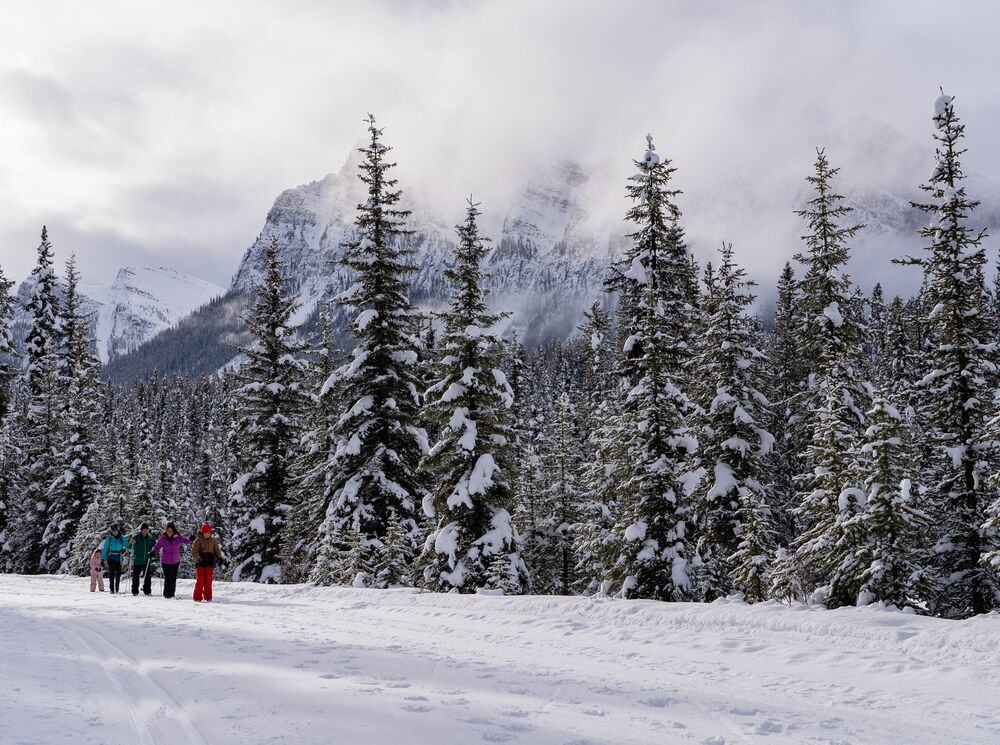 A group of people cross country ski with a guide in Banff National Park.