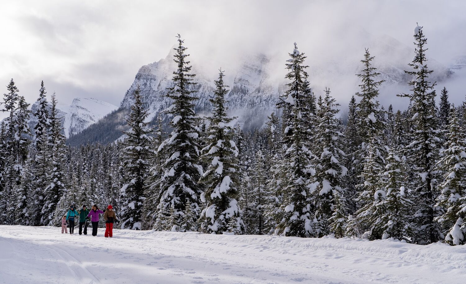 A group of people cross country ski with a guide in Banff National Park.