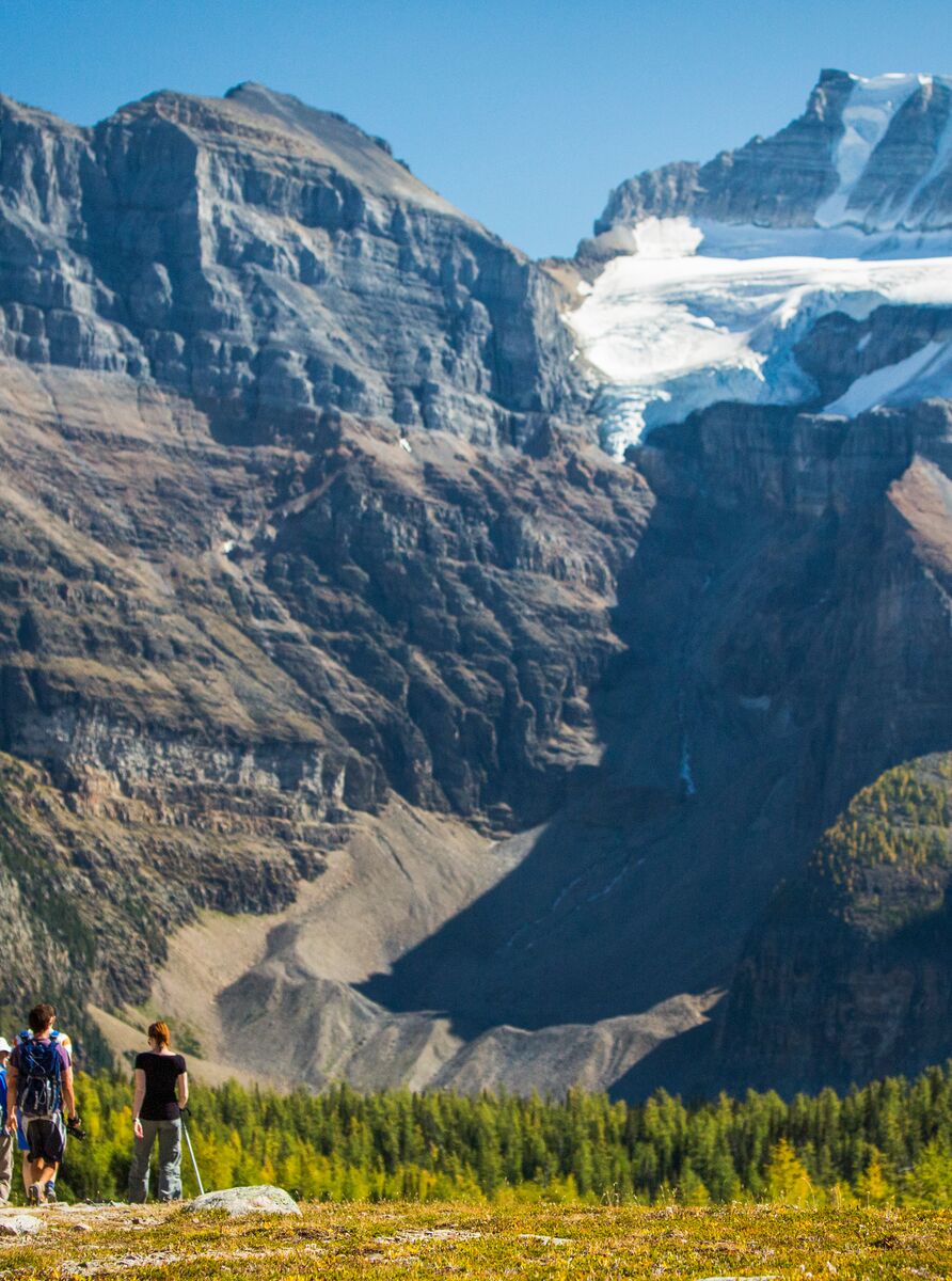 People hike in Larch Valley towards Mount Temple near Lake Louise and Moraine Lake in Banff National Park.