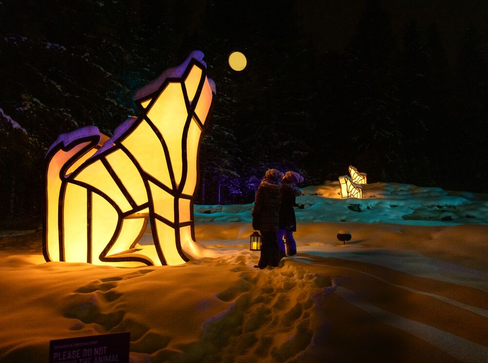 In Search of Christmas Spirit at night in Banff National Park.