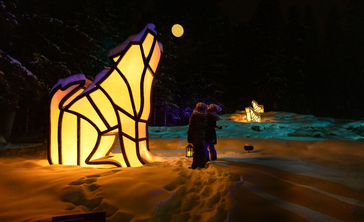 In Search of Christmas Spirit at night in Banff National Park.