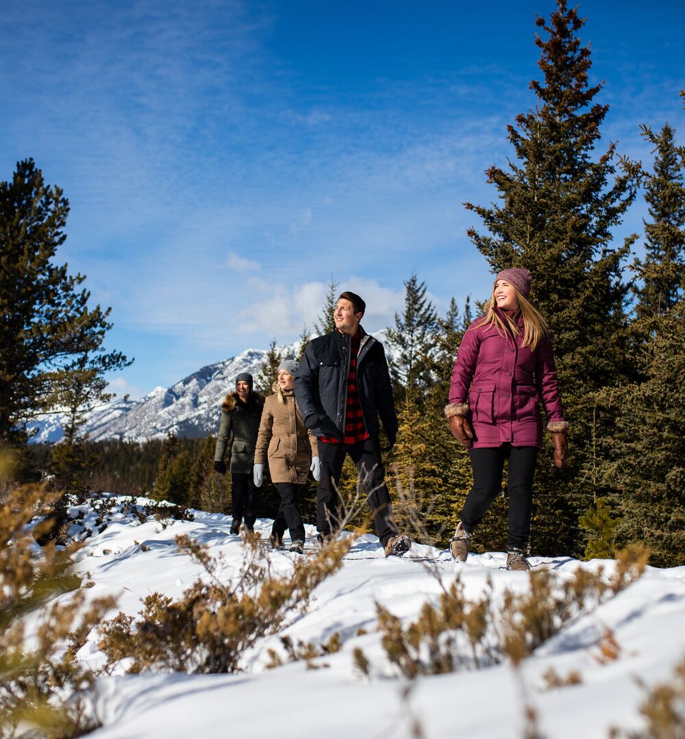 Surprise Corner to Hoodoos Trail
