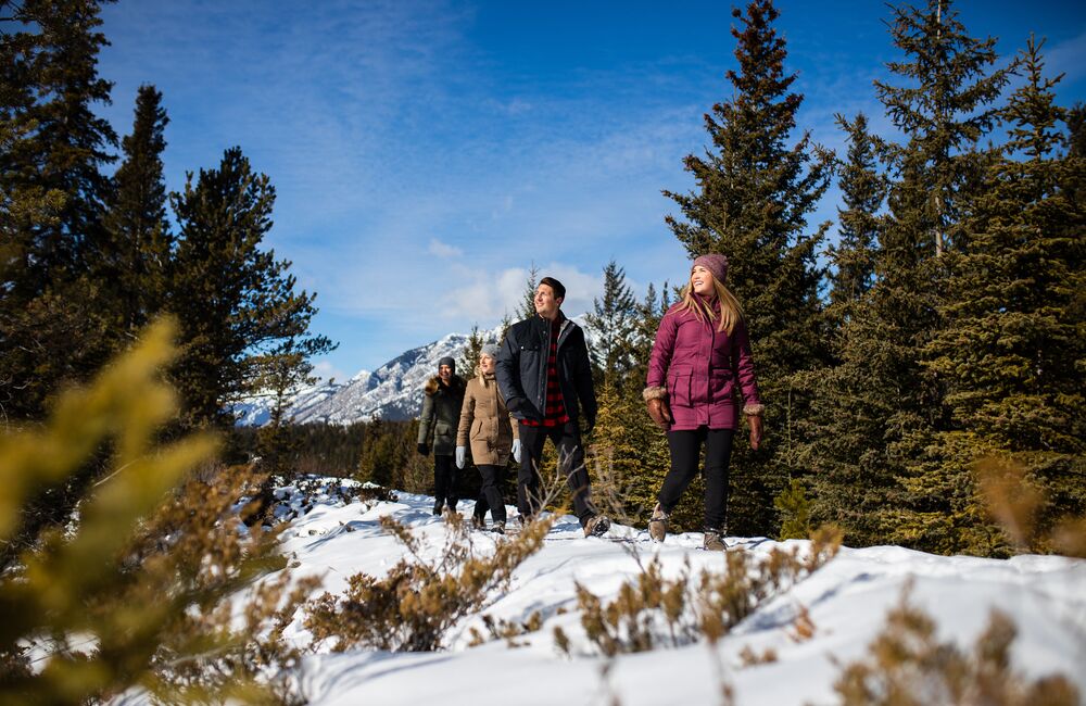 Four people hiking on the Hoodoo viewpoint trail in Banff National Park