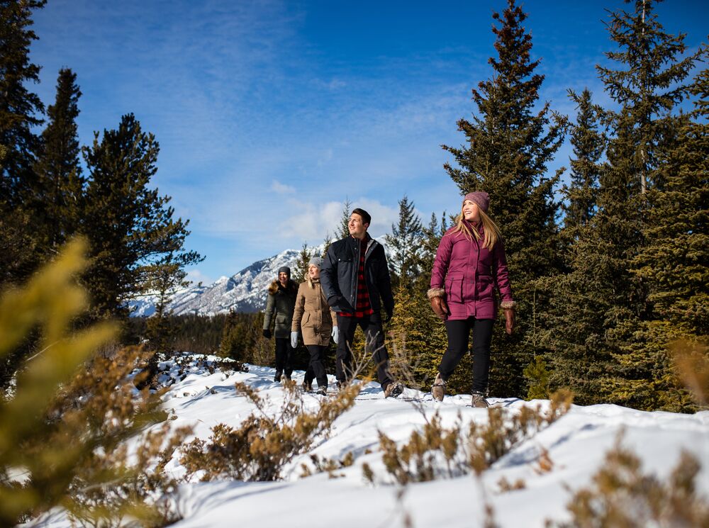 Surprise Corner to Hoodoos Trail