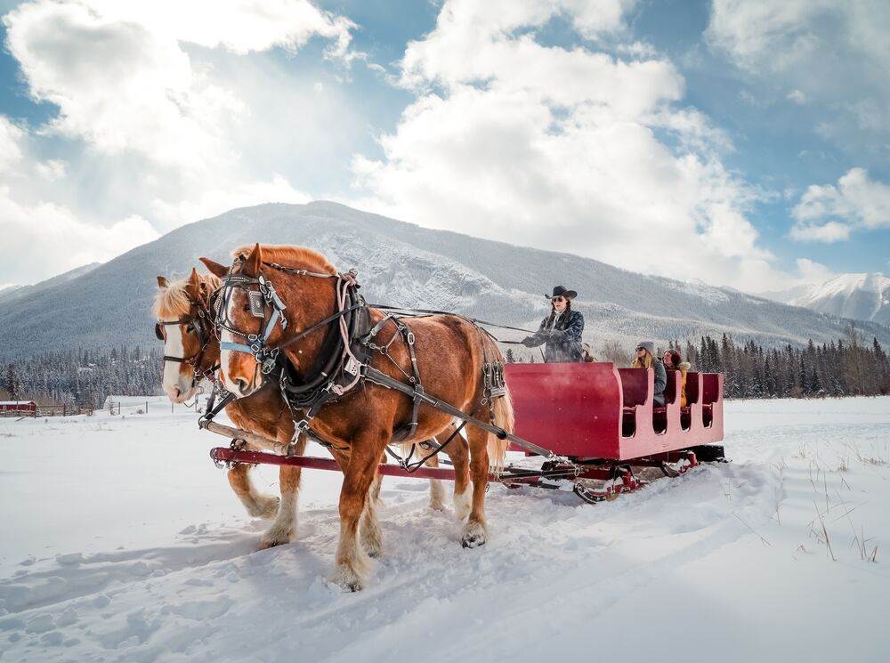 Sleigh Ride on a winter day in Banff National Park with mountains in the background at Banff Trail Riders.