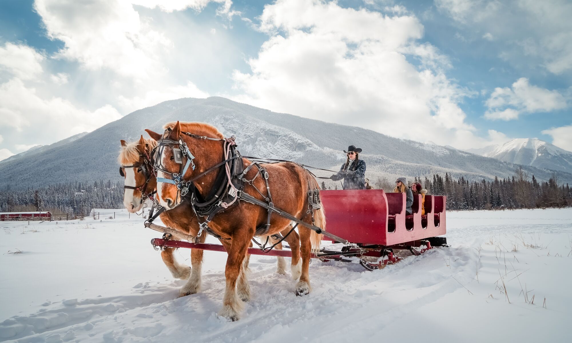 Sleigh Ride on a winter day in Banff National Park with mountains in the background at Banff Trail Riders.