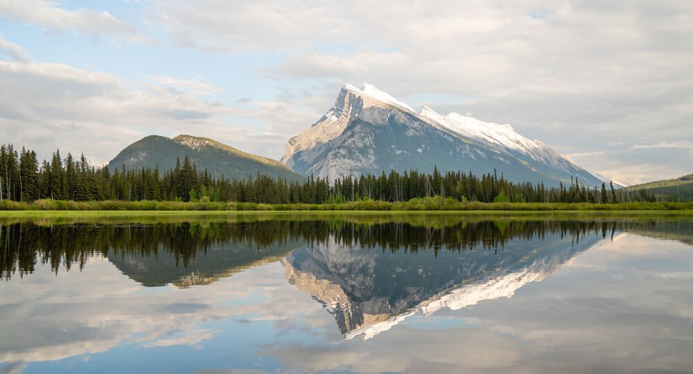 Last Years Performance Highlighted In Annual Report Banff