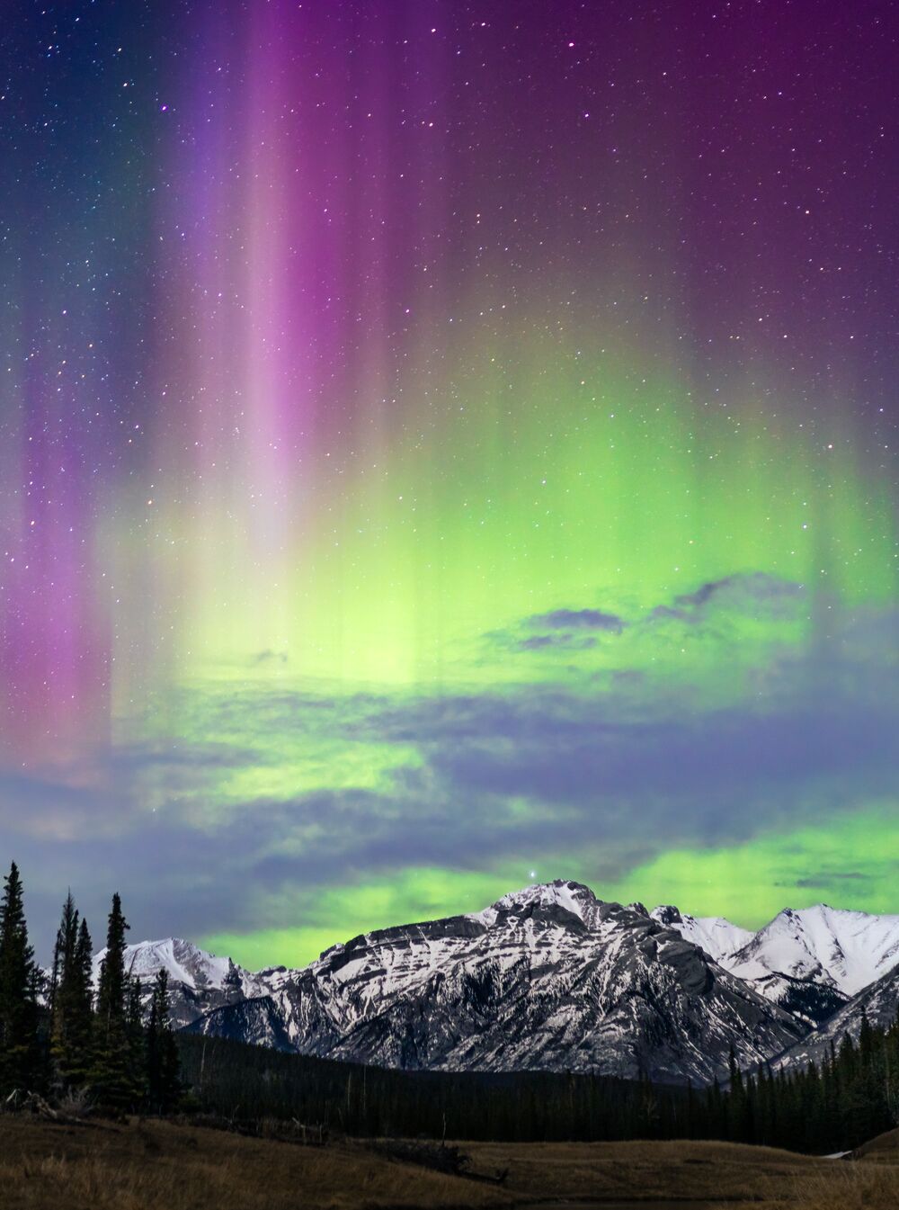 Your Guide to Experiencing the Aurora Borealis in Banff National Park