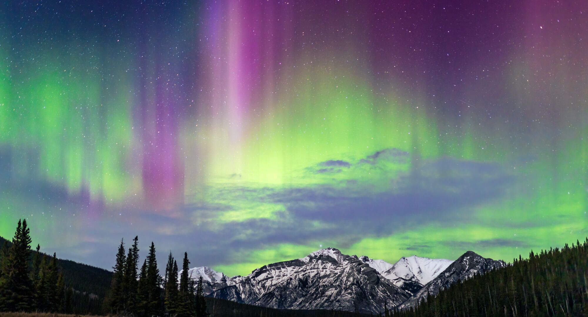 View of the night sky with Northern Lights in greens and purples dancing above the mountains.