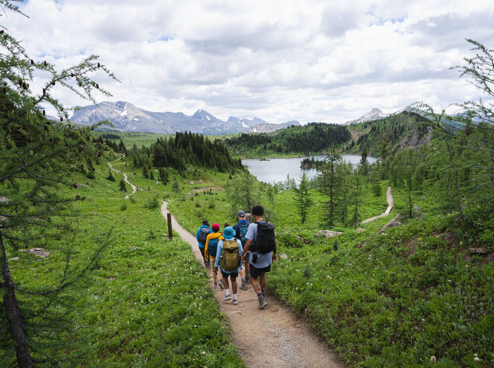 A group of people on a guided hike in Sunshine Meadows in Banff National Park