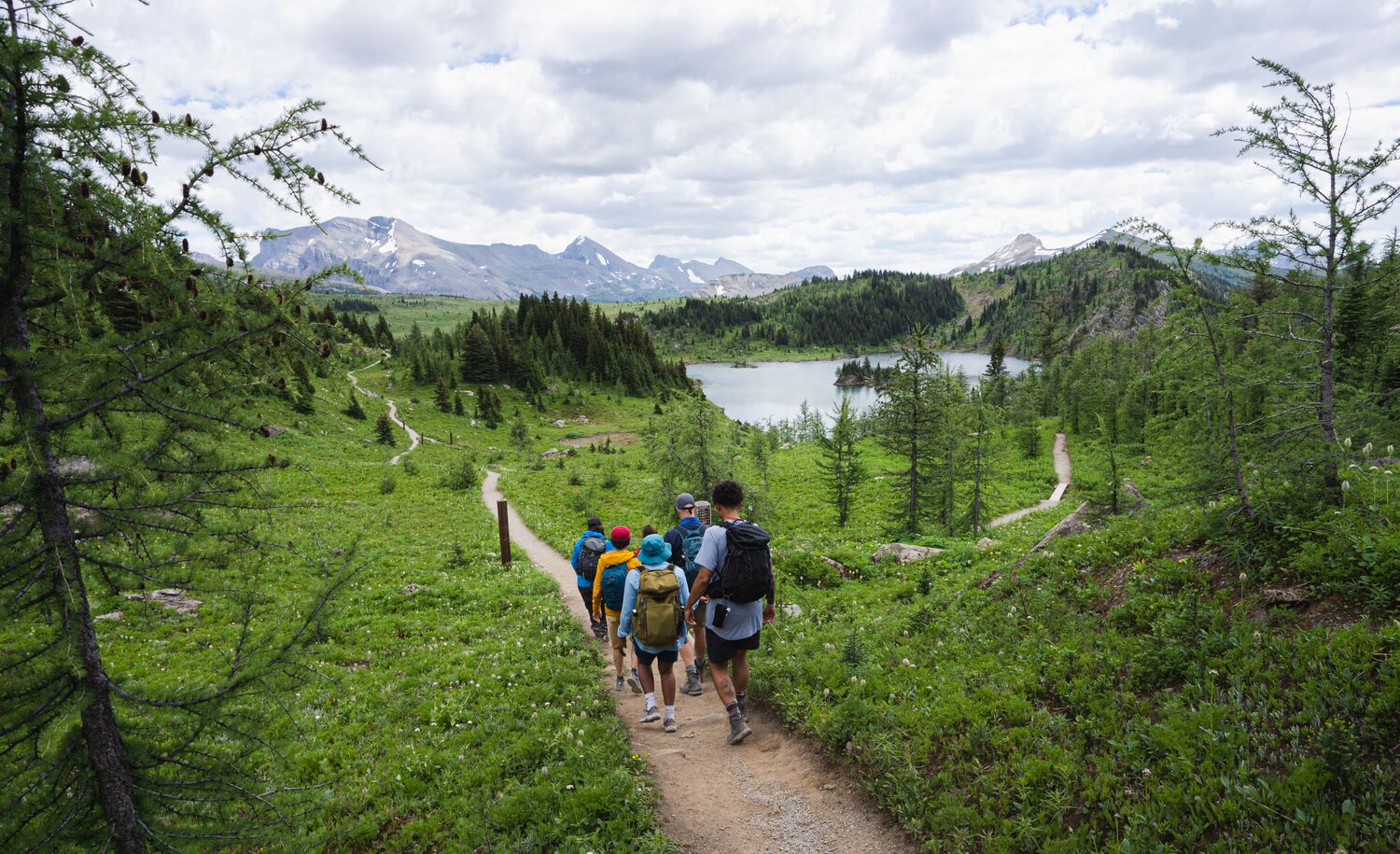 A group of people on a guided hike in Sunshine Meadows in Banff National Park