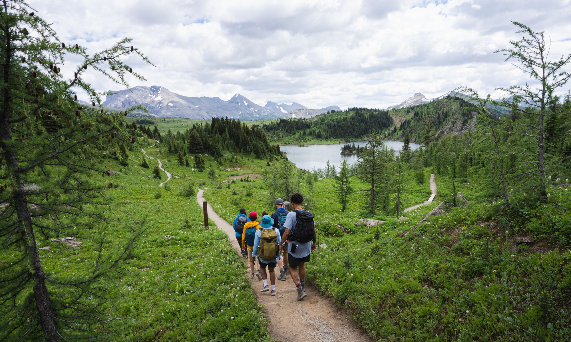 A group of people on a guided hike in Sunshine Meadows in Banff National Park