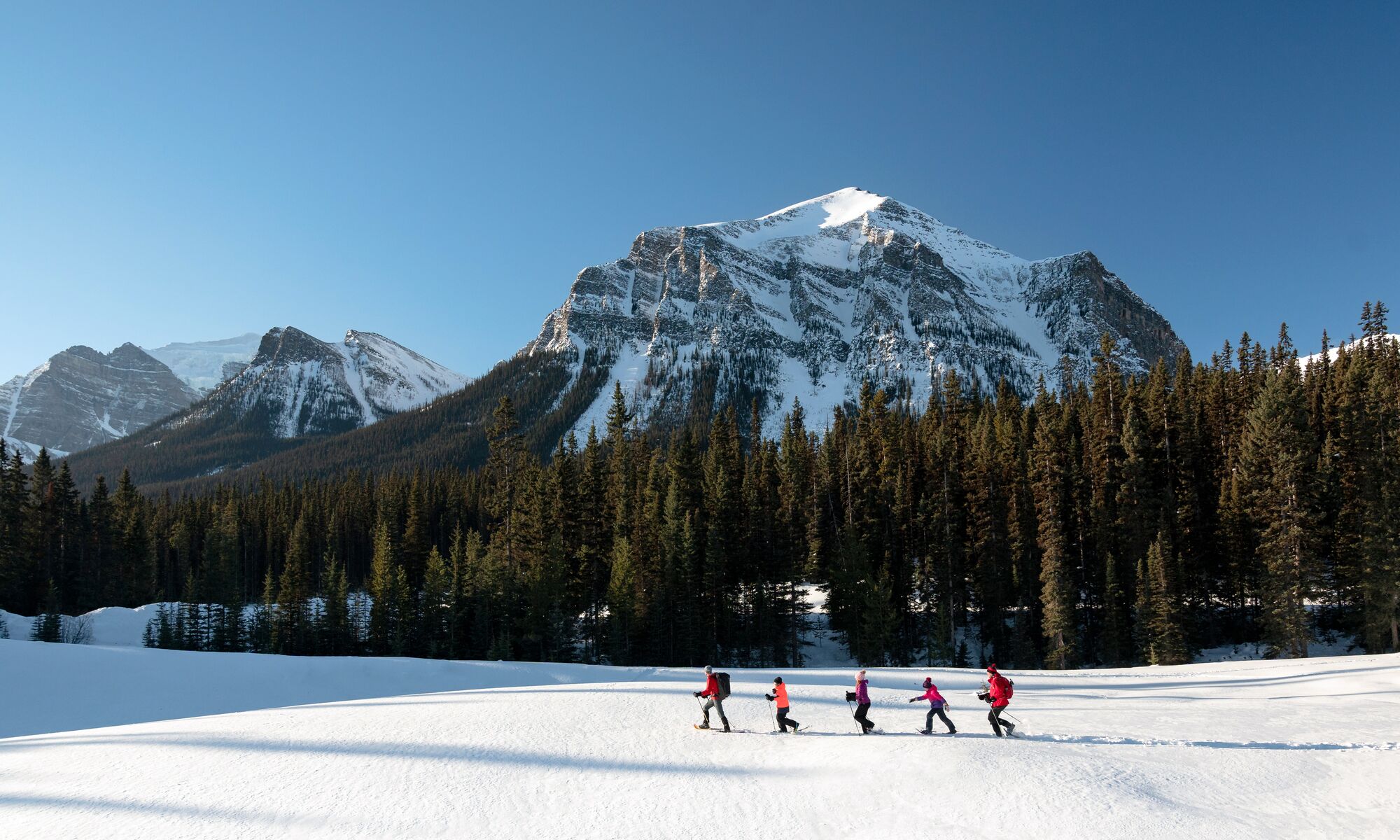 A snowshoe guide brings a group of snowshoers along at the base of Mount Fairview in Lake Louise in Banff National Park.