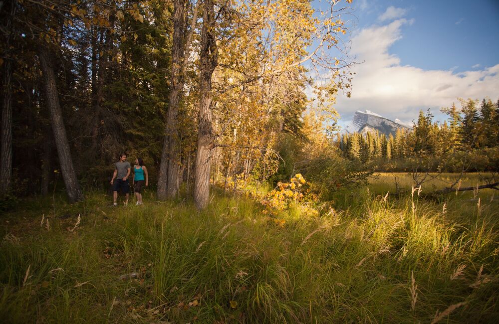 A couple hiking the Fenland Trail in the summer in Banff National Park