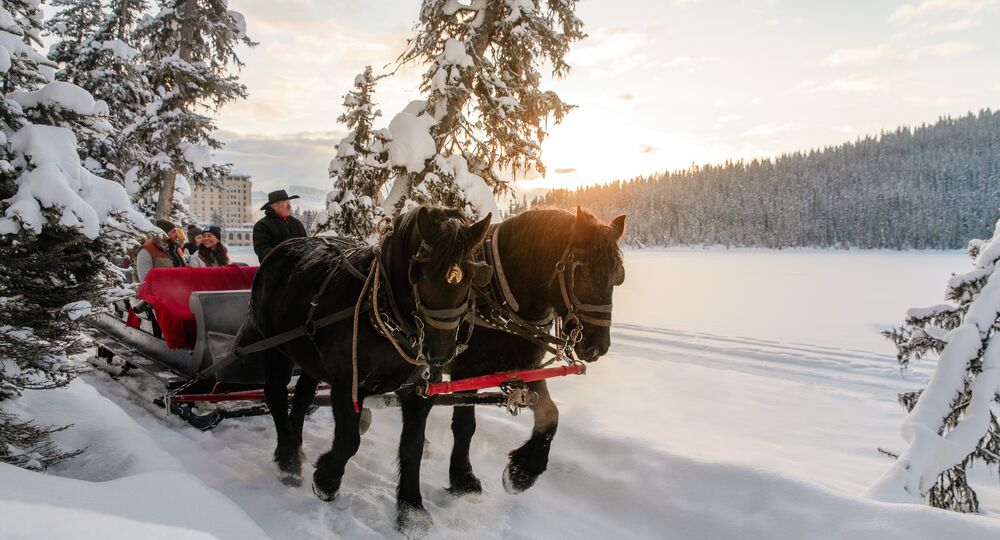 Sleigh Ride in Lake Louise Banff & Lake Louise Tourism