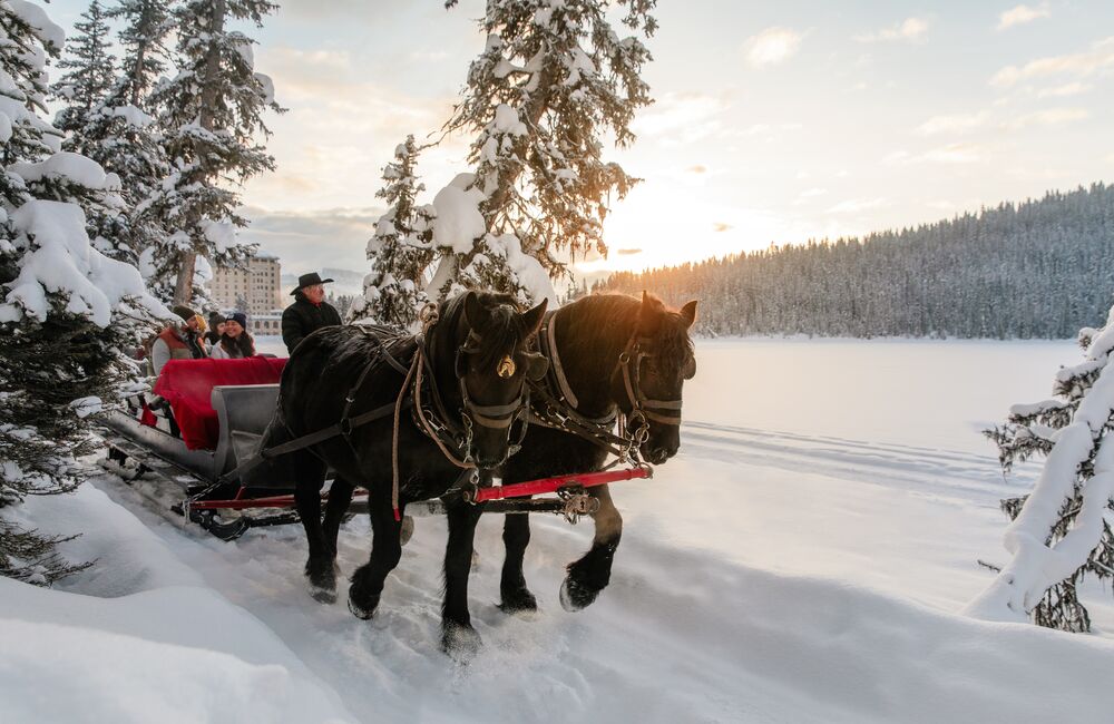 Sleigh Ride in Lake Louise