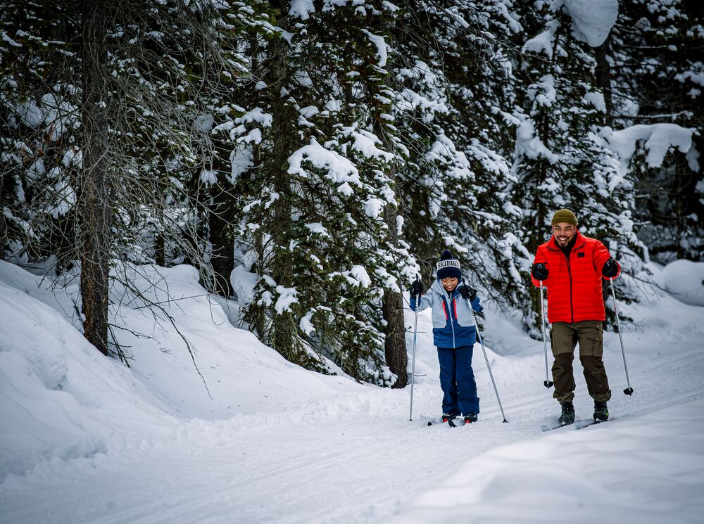 A father and son cross country skiing in Banff National Park in snowy woods.
