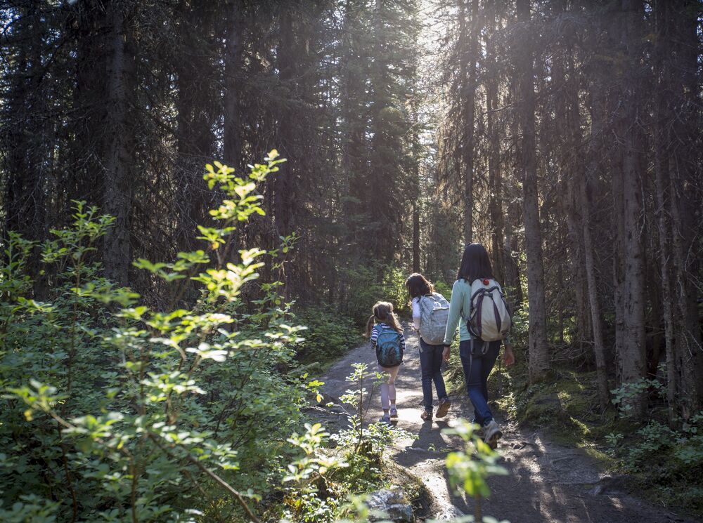Family of three walking on the Stewart Canyon trail in Banff National Park