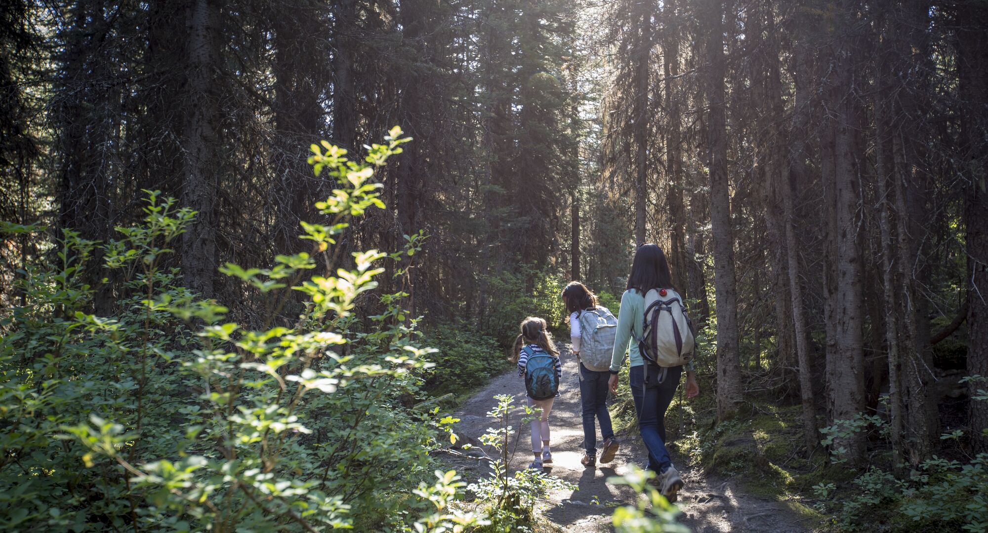 Family of three walking on the Stewart Canyon trail in Banff National Park