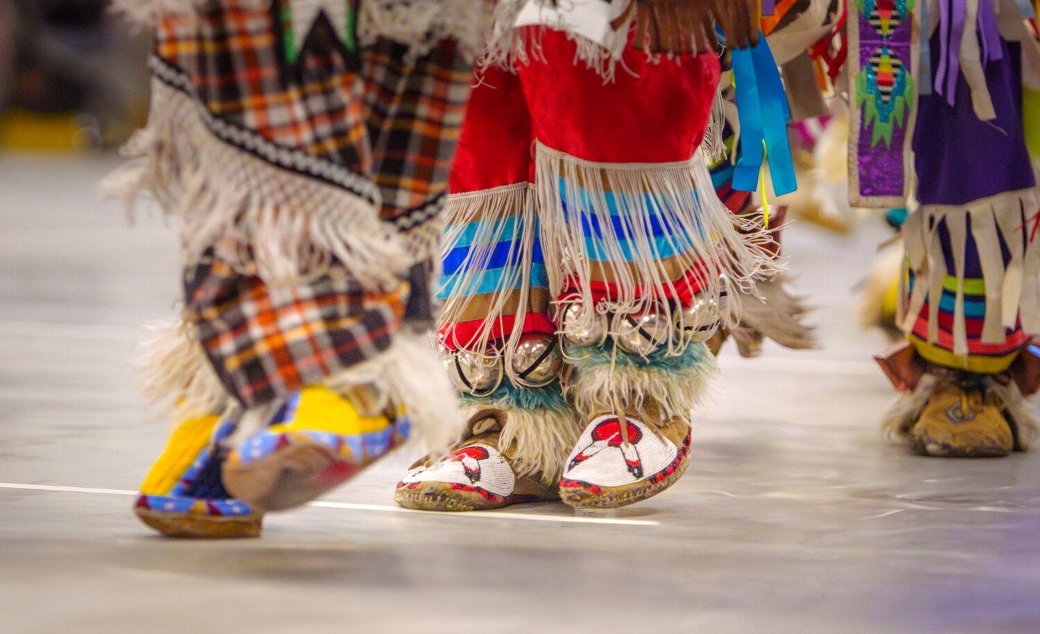 Participants at the 2024 Intercultural Powwow dressed in traditional regalia held at the Fenlands Recreation Centre in Banff on June 8.