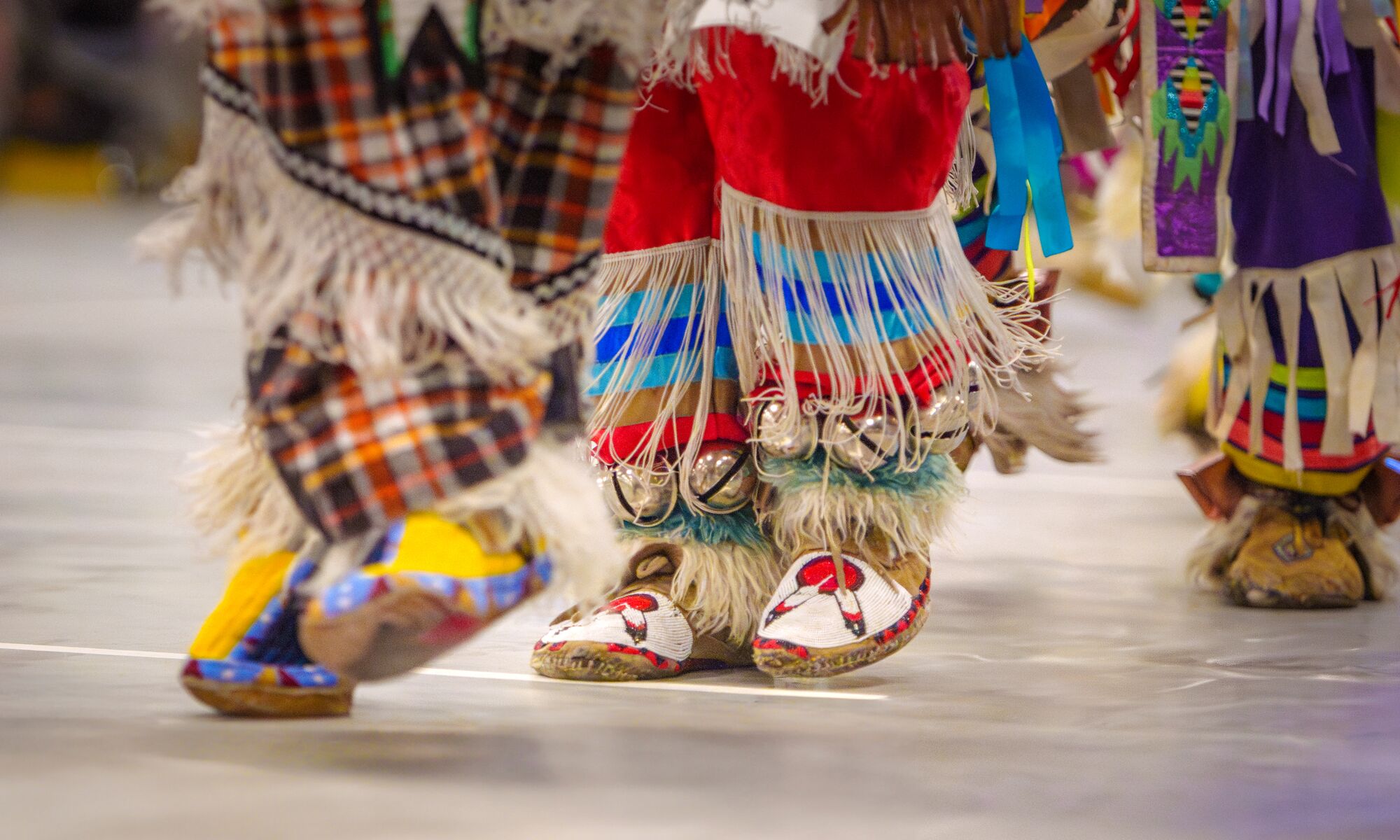 Participants at the 2024 Intercultural Powwow dressed in traditional regalia held at the Fenlands Recreation Centre in Banff on June 8.