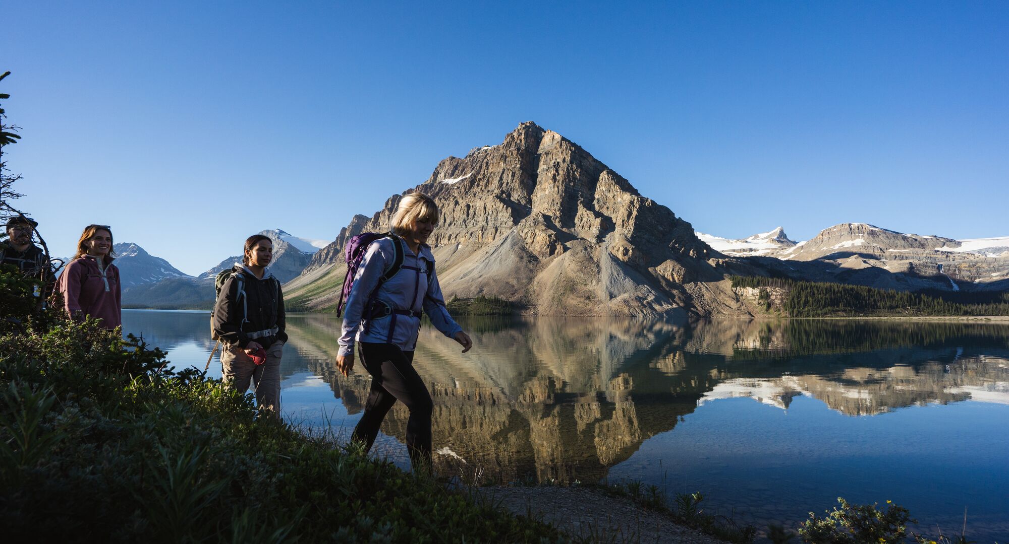 Bow Lake in Summer