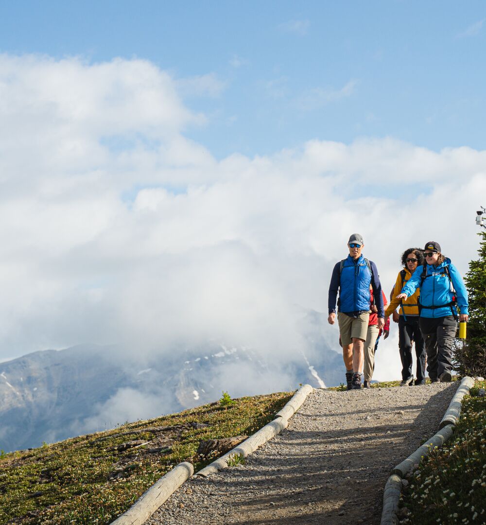 Group of people on a guided hiking tour at Sunshine Meadows in the summer