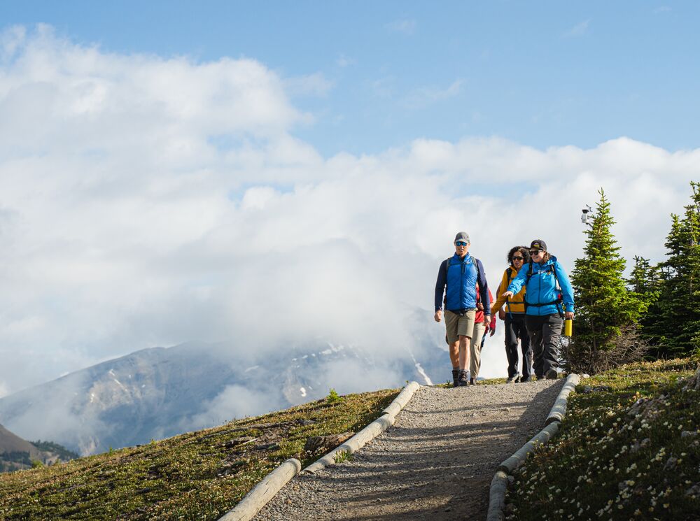 Group of people on a guided hiking tour at Sunshine Meadows in the summer
