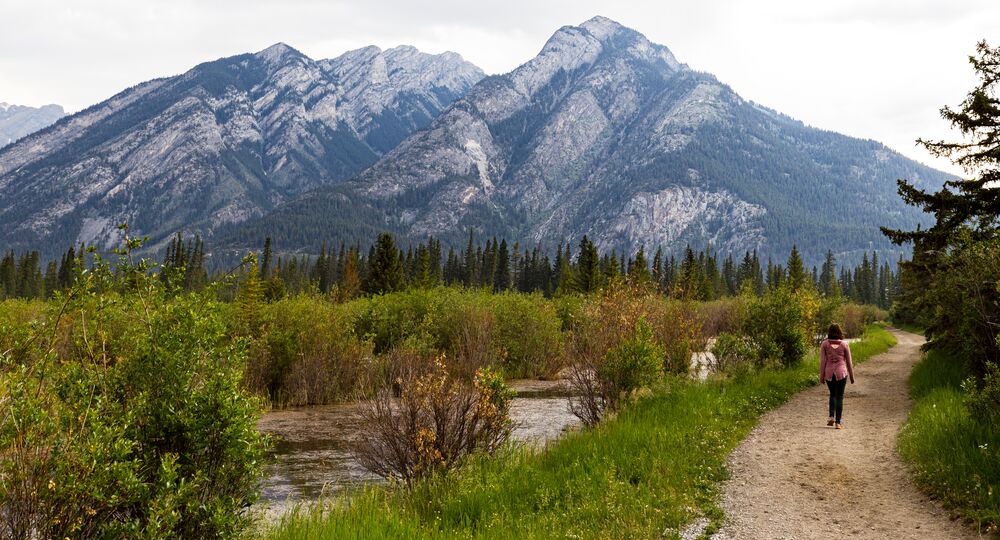 Marsh Loop Trail | Banff & Lake Louise Tourism