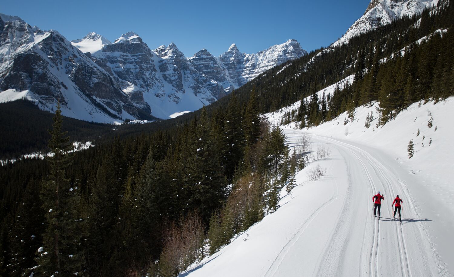 Moraine Lake Road cross country skiing in Banff National Park.