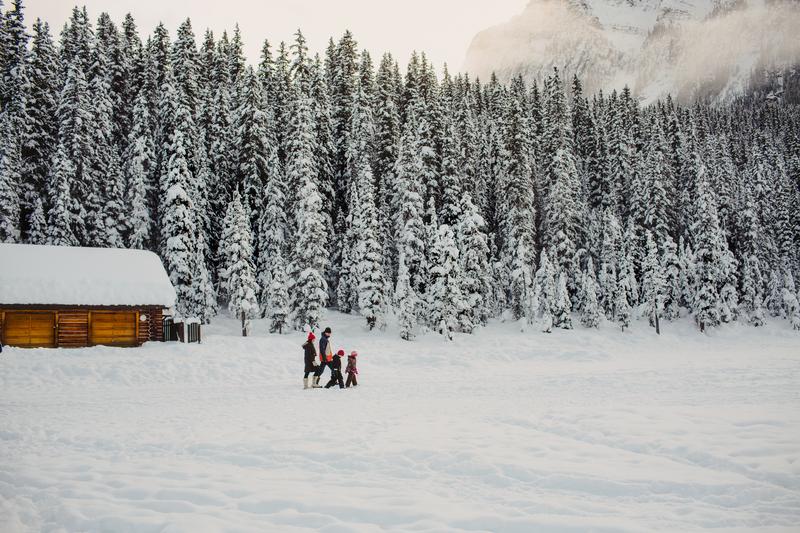 エレキーパドル　「Lake Louise」 エレキーパドル 「Lake Louise」