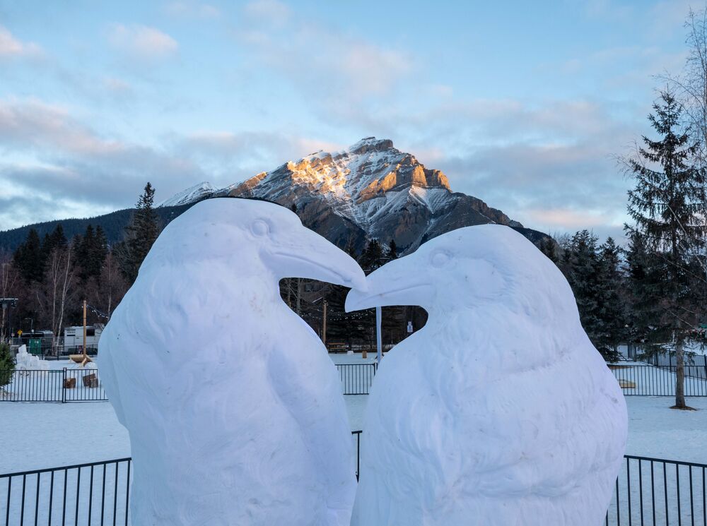 Snow sculpture of two kissing ravens in Central Park in the Banff townsite in Banff National Park