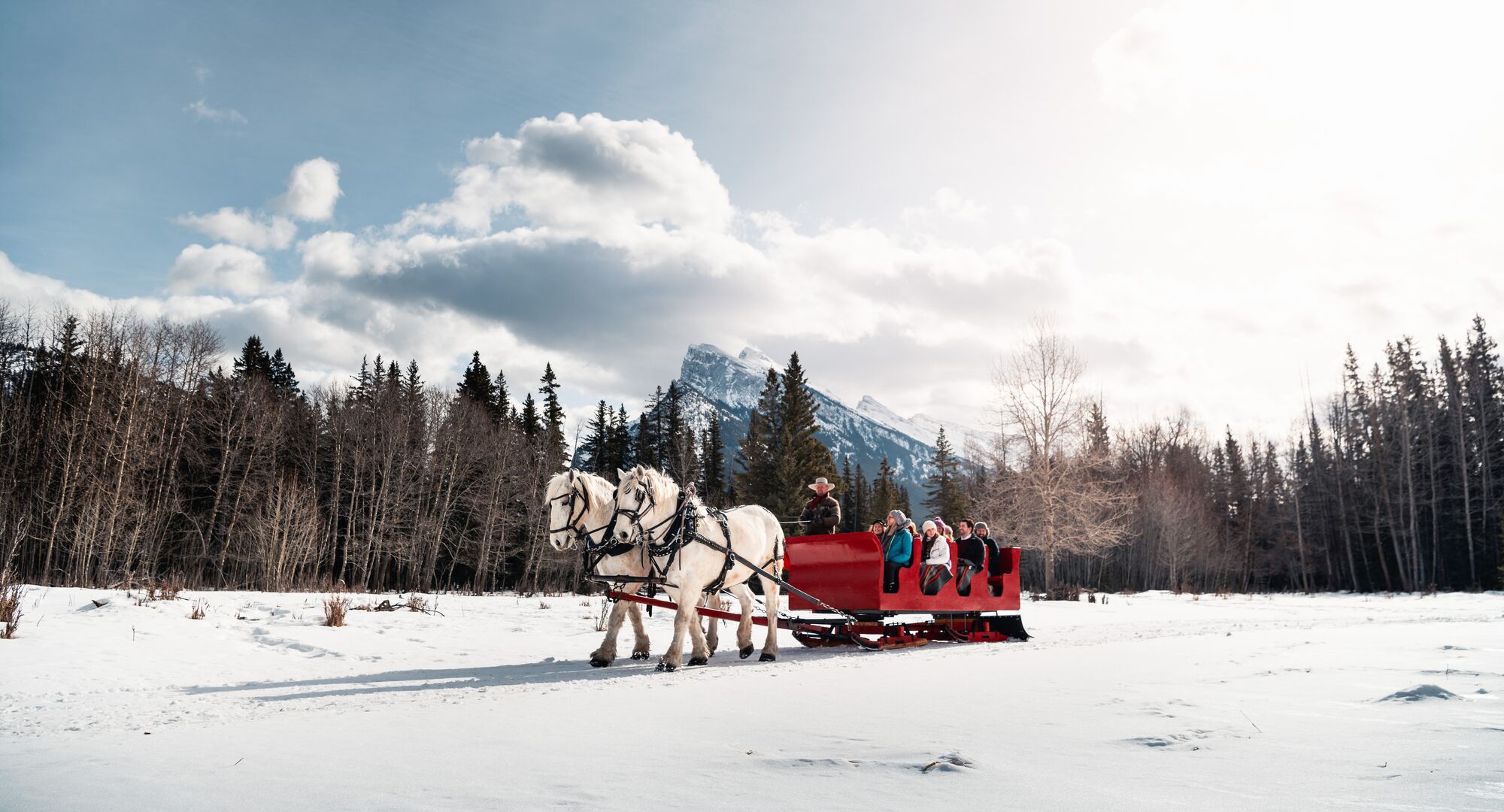 A group of friends enjoy a winter sleigh ride through Banff National Park